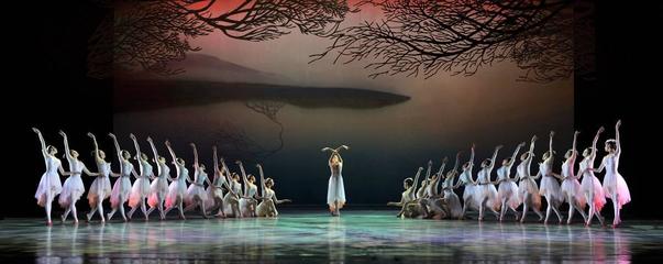 【上海】《朱鹮》歸來(lái)&ldquo;水晶宮&rdquo;,&ldquo;吉祥之鳥(niǎo)&rdquo;性靈起舞