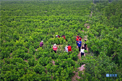 東營市新時代文藝志愿行攝影采風創作活動在龍居舉行