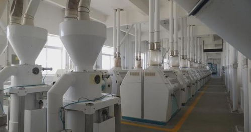 鄉(xiāng)村振興進(jìn)行時(shí) 多措并舉促就業(yè)，精準(zhǔn)服務(wù)暖民心，文藝創(chuàng)作煥活力